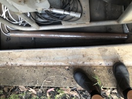 Dummy probe
