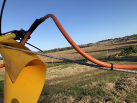 Wallaby elastic loop tensioner