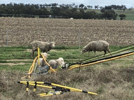 Wallaby Receiver cable