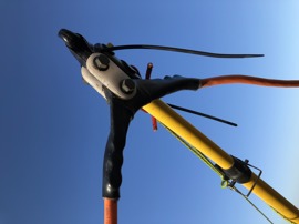 Wallaby boom ends