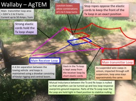 Wallaby Annotated