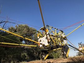 Wallaby Core structure.